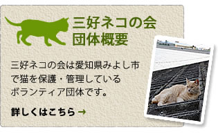 三好ネコの会は愛知県みよし市の猫を保護・管理している活動団体です